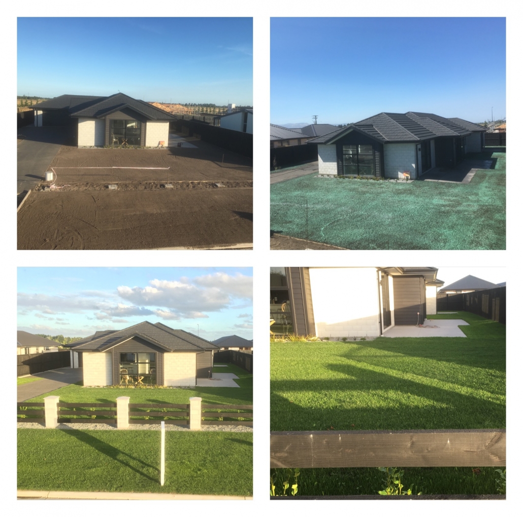 Hydroseeding Christchurch. Spray on Grass for Hydroseeding Christchurch