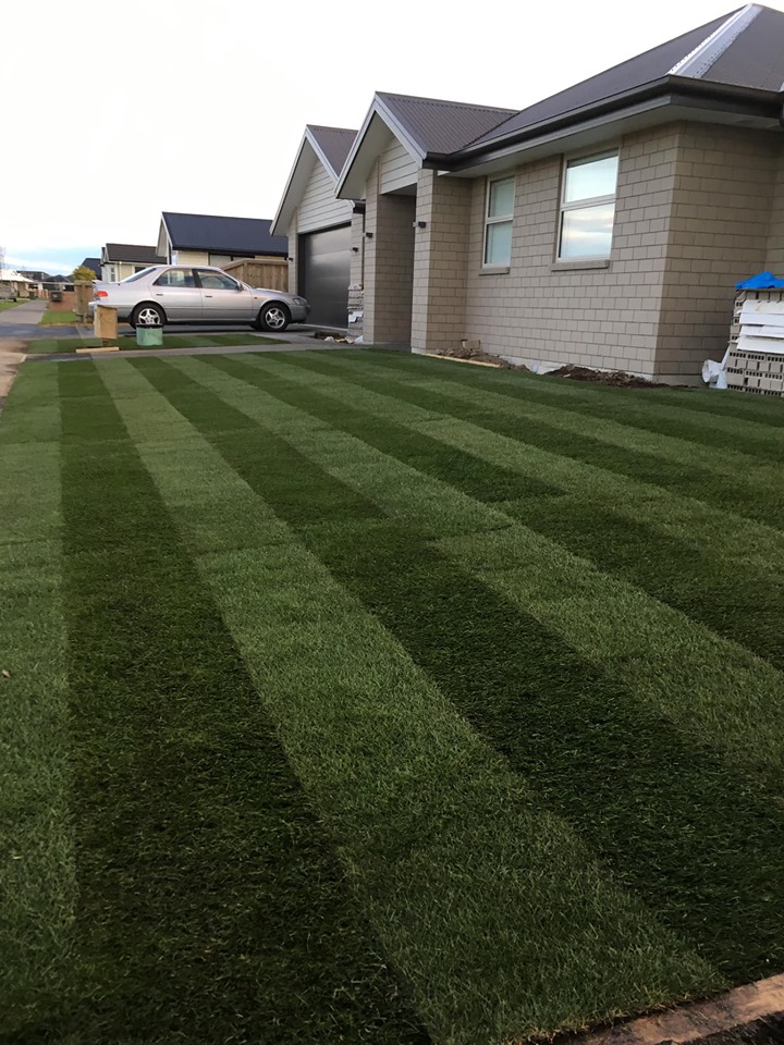 Hydroseeding and Landscaping Services Christchurch Canterbury Hydroseeding and Landscaping Services Christchurch Canterbury
